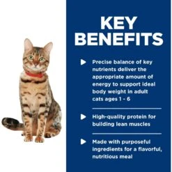 Hill's Science Diet Adult Healthy Cuisine Roasted Chicken & Rice Medley Canned Cat Food -Hill's Science Plan Store 94014 PT4. AC SS1800 V1598154358