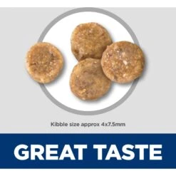 Hill's Science Diet Adult Sensitive Stomach & Skin Small & Mini Breed Chicken Recipe Dry Dog Food -Hill's Science Plan Store 96153 PT3. AC SS1800 V1693497929