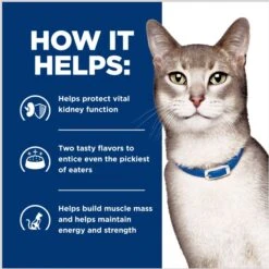 Hill's Prescription Diet K/d Kidney Care Stew Variety Pack Wet Cat Food, 2.9-oz Can, Case Of 24 -Hill's Science Plan Store 967646 PT5. AC SS1800 V1696615400