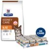 Hill's Prescription Diet K/d Kidney Care With Chicken Dry Cat Food & Hill's Prescription Diet K/d Kidney Care Pate With Tuna Wet Cat Food -Hill's Science Plan Store 986422 MAIN. AC SS1800 V1698672317