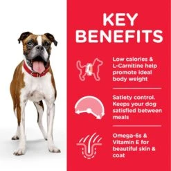 Hill's Science Plan Adult 1-6 Light Medium With Chicken 2.5kg -Hill's Science Plan Store atf8 604359 key benefits 2 2