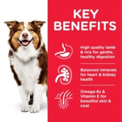 Hill's Science Plan Hill’s Science Plan Mature Adult 7+ Medium With Lamb & Rice Economy Pack: 2 X 14kg -Hill's Science Plan Store atf8 604379 key benefits 4 1