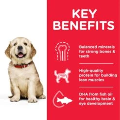 Hill's Science Plan Hill’s Science Plan Puppy <1 Large Breed With Chicken Economy Pack: 2 X 2.5kg -Hill's Science Plan Store atf8 604386 key benefits 3 1