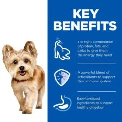 Hill's Science Plan Mature Small & Mini Mousse Beef (12 X 200g) -Hill's Science Plan Store atf 608331 key benefits 5 1