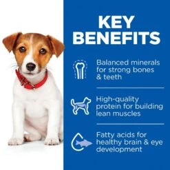 Hill's Science Plan Hill`s Science Plan Puppy Small & Mini Lamb & Rice Economy Pack: 2 X 1.5kg -Hill's Science Plan Store bk34181m ongoing key benefits uk 8 1