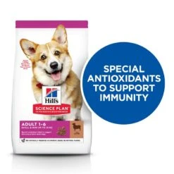 Hill's Science Plan Hill’s Science Plan Adult 1-6 Small & Mini With Lamb & Rice Economy Pack: 2 X 6kg 12 Hill's Science Plan Hill’s Science Plan Adult 1-6 Small & Mini With Lamb & Rice Economy Pack: 2 X 6kg -Hill's Science Plan Store killer claim s m adult dog food dry lamb rice uk 2 2