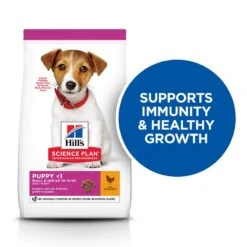 Hill's Science Plan Hill’s Science Plan Puppy <1 Small & Mini With Chicken 3kg 12 Hill's Science Plan Hill’s Science Plan Puppy <1 Small & Mini With Chicken 3kg -Hill's Science Plan Store killer claim s m puppy dog food dry uk 2 1