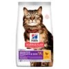 Hill's Science Plan Adult Sensitive Stomach & Skin Chicken 7kg 2 Hill's Science Plan Adult Sensitive Stomach & Skin Chicken 7kg -Hill's Science Plan Store sp feline adult sensitive stomach and skin chicken dry productshot 500 8 1