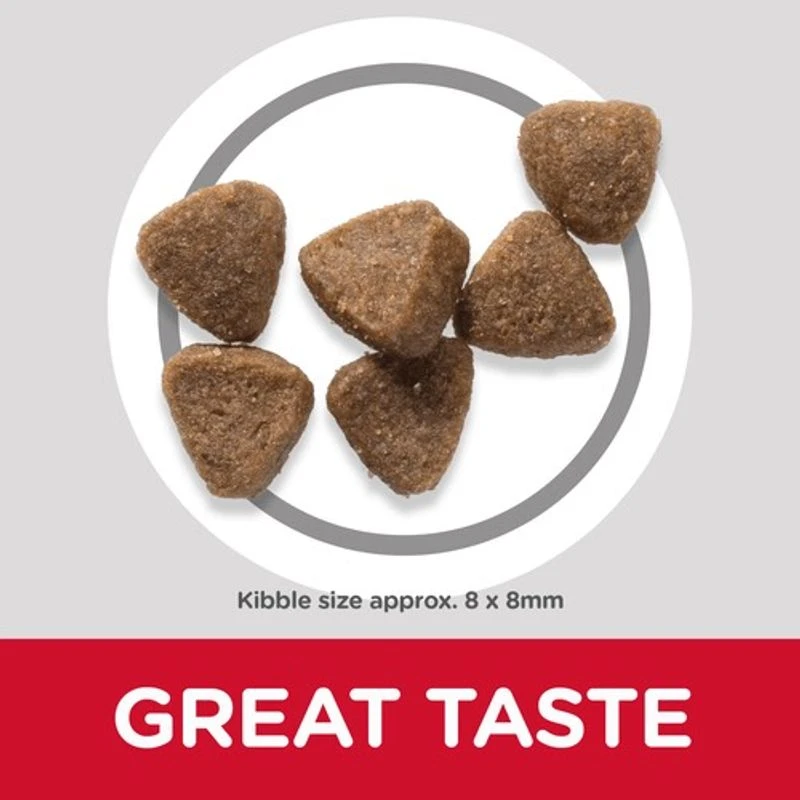 Hill's Science Plan Kitten Chicken Economy Pack: 2 X 7kg - Image 2