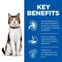 Hill's Science Plan Mature Adult Pouches Ocean Fish (12 X 85g) -Hill's Science Plan Store uk cat mature adult ocean fish pouch transition benefits 1