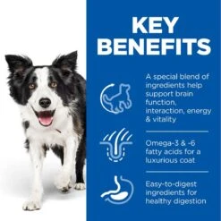 Hill's Science Plan Hill’s Science Plan Adult 7+ Senior Vitality Medium With Chicken Economy Pack: 2 X 14kg -Hill's Science Plan Store uk dog ma medium yv chicken transition benefits 2