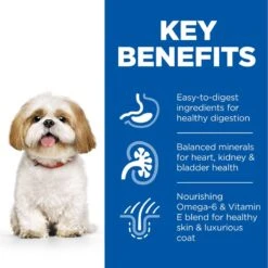 Hill's Science Plan Hill’s Science Plan Mature Adult 7+ Small & Mini With Chicken Economy Pack: 2 X 6kg -Hill's Science Plan Store uk dog ma s m chicken transition benefits 4 3