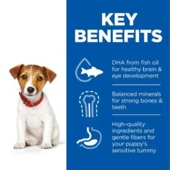 Hill's Science Plan Hill’s Science Plan Puppy <1 Small & Mini With Chicken 6kg -Hill's Science Plan Store uk dog puppy s m chicken transition benefits 8