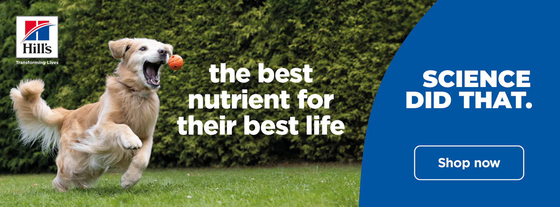 Hill's Science Plan Store -Hill's Science Plan Store Hill s Banner